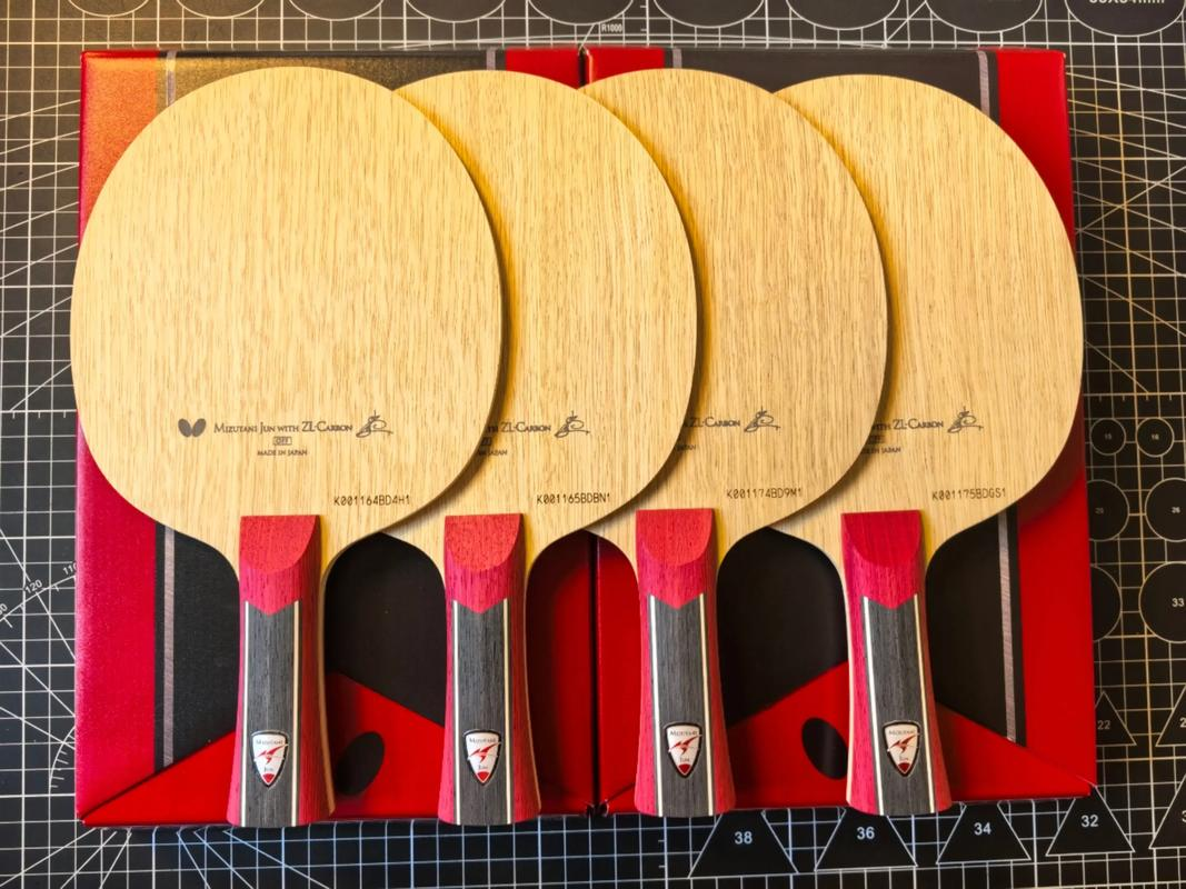 日本乒乓球队横扫波兰乒乓球队,水谷隼制霸全场的简单介绍 日本乒乓球队横扫波兰乒乓球队,水谷隼制霸全场的简单介绍