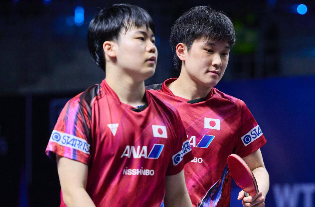 德国乒乓球队绝杀比利时乒乓球队，张本智和统治全场的简单介绍