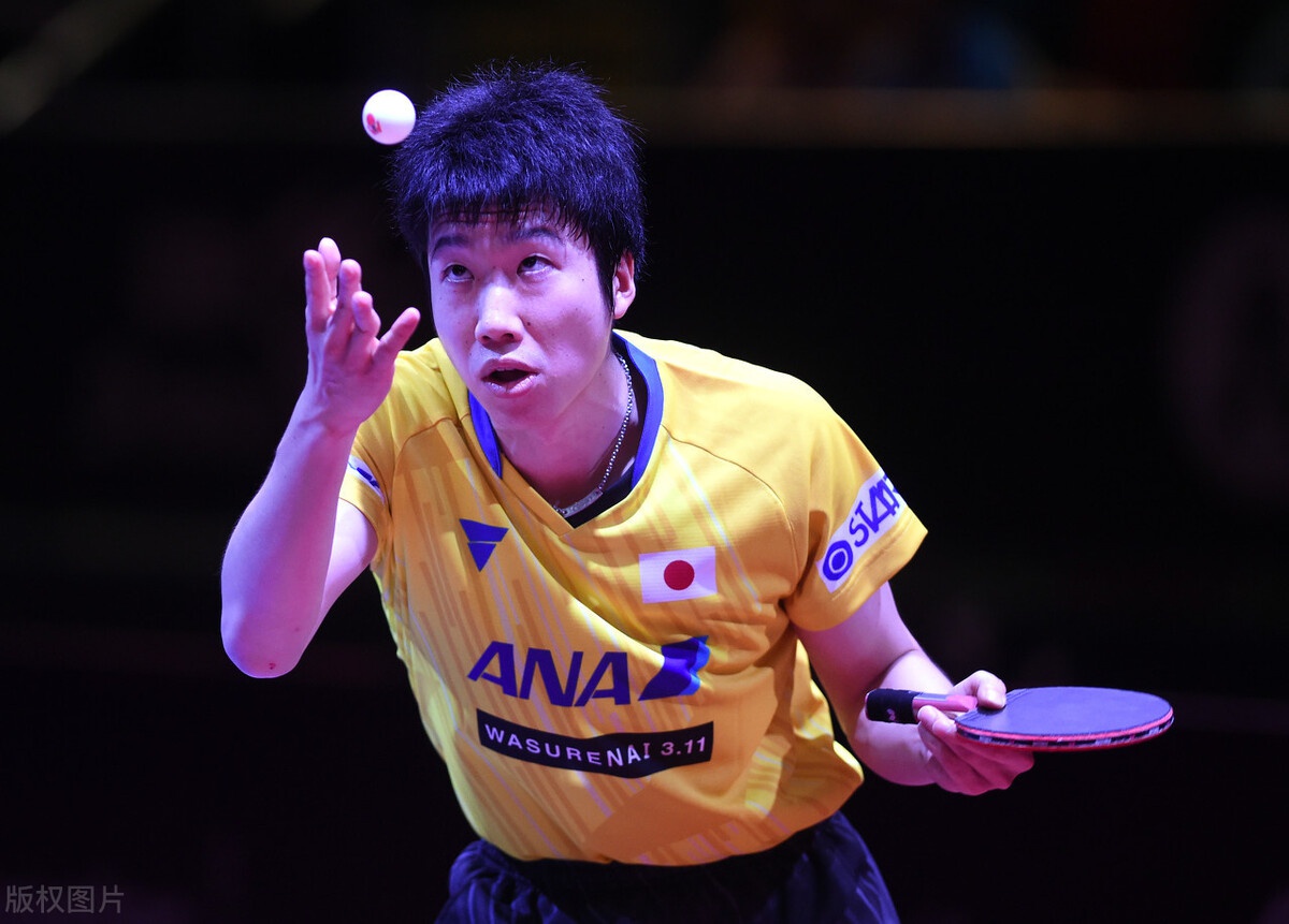 比利时乒乓球队翻盘韩国乒乓球队，水谷隼制霸全场的简单介绍