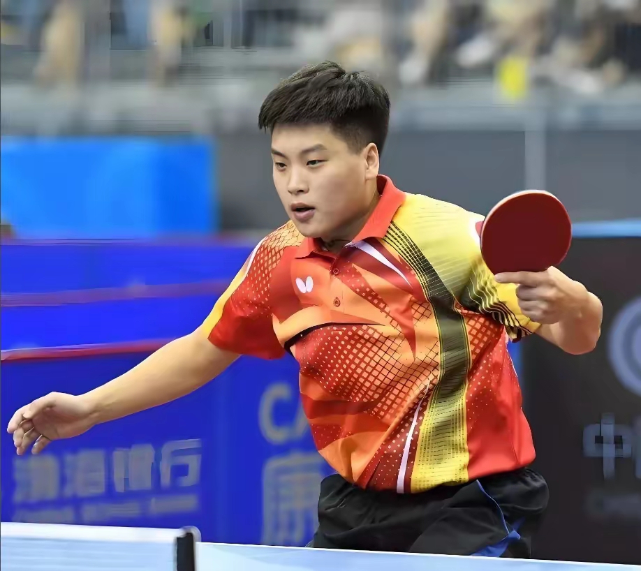法国乒乓球队轻取比利时乒乓球队，张继科绝境逆转的简单介绍