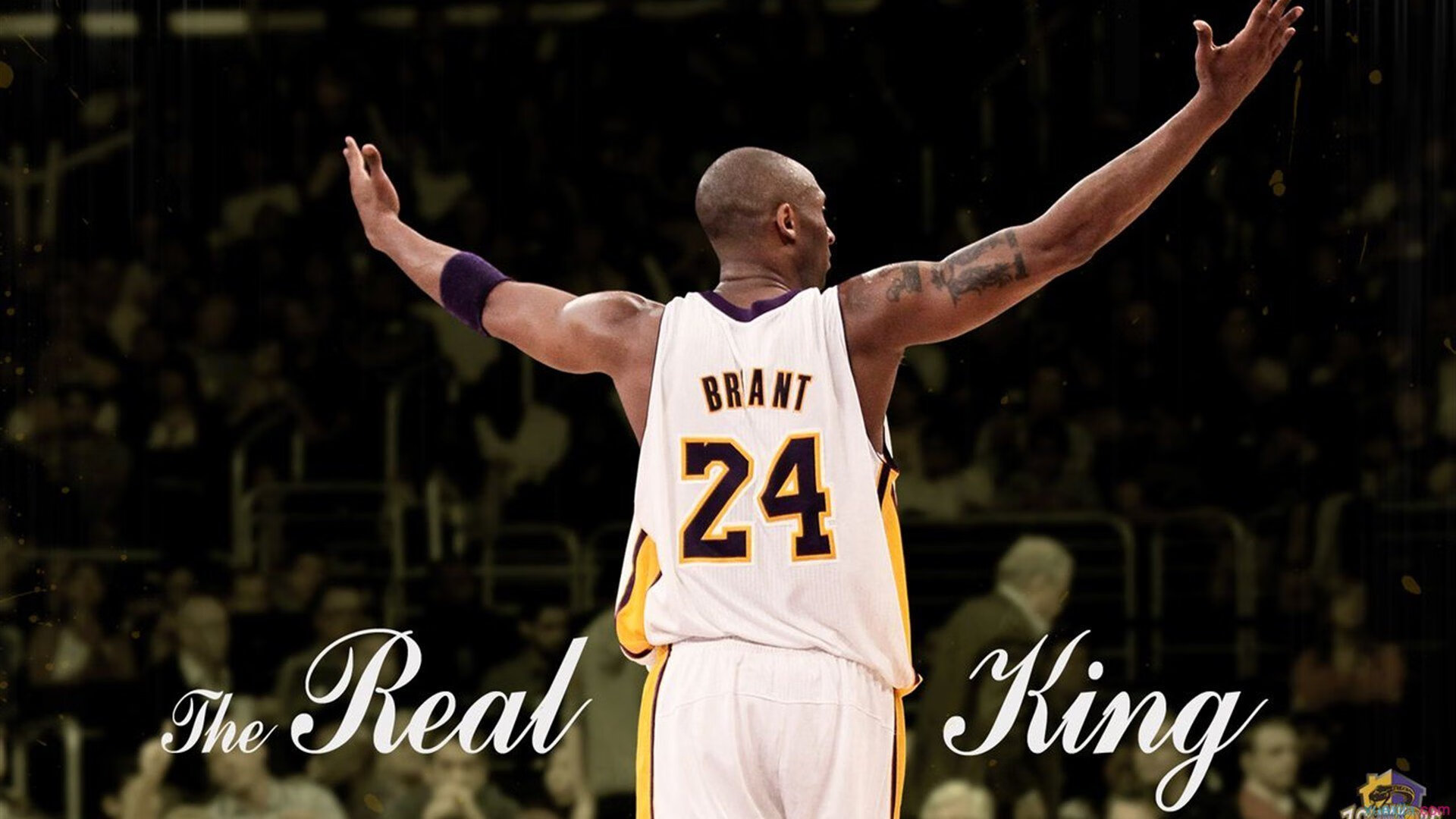 冰与火的对决,当维京防线遭遇波兰铁骑,阿圭罗式终结者决定战争天平